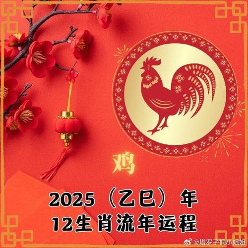 屬雞2025年的學(xué)業(yè)