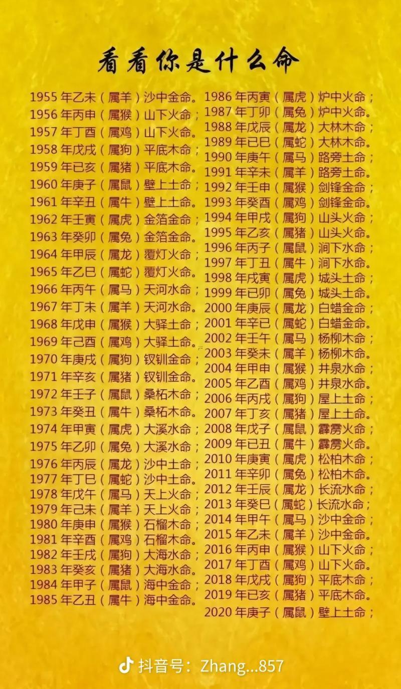63年是啥年