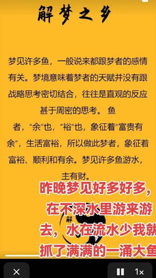 做夢(mèng)夢(mèng)見魚解夢(mèng)