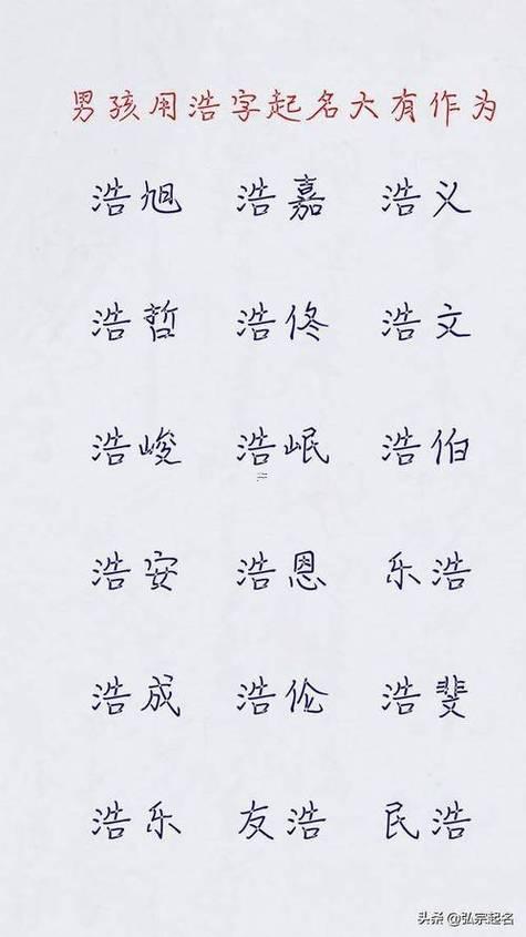 帶浩的男孩名字