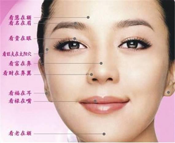 女人鼻子面相圖解