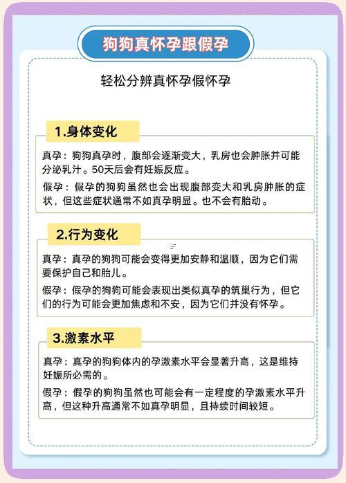 懷孕做夢夢到小狗死了