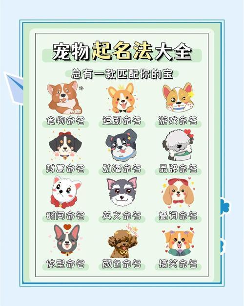 好聽的寵物名字