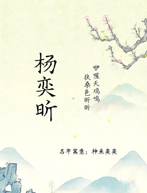 姓楊男孩名字