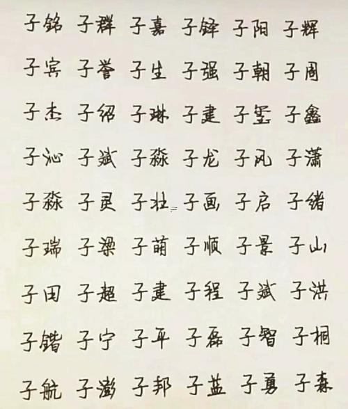 男孩子的名字