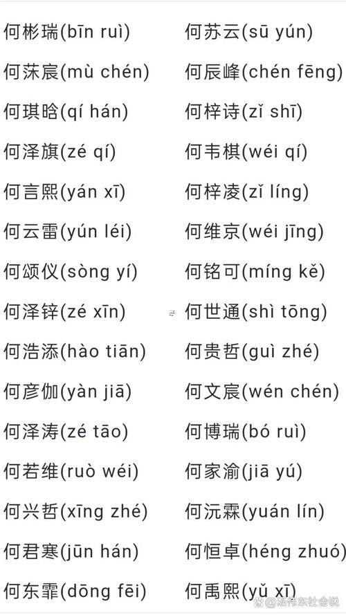 何姓男孩取名字最高分