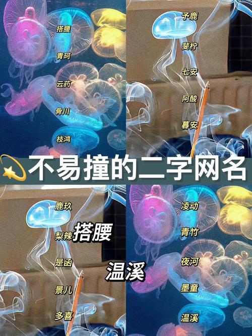 低調(diào)網(wǎng)名