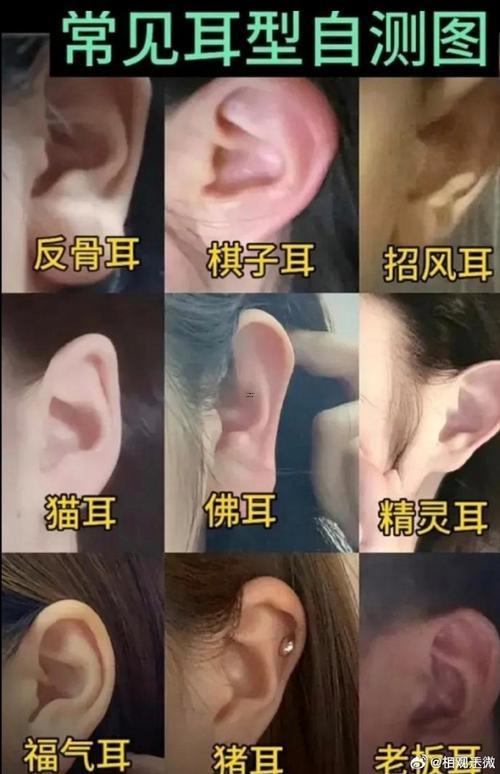耳垂大得女人