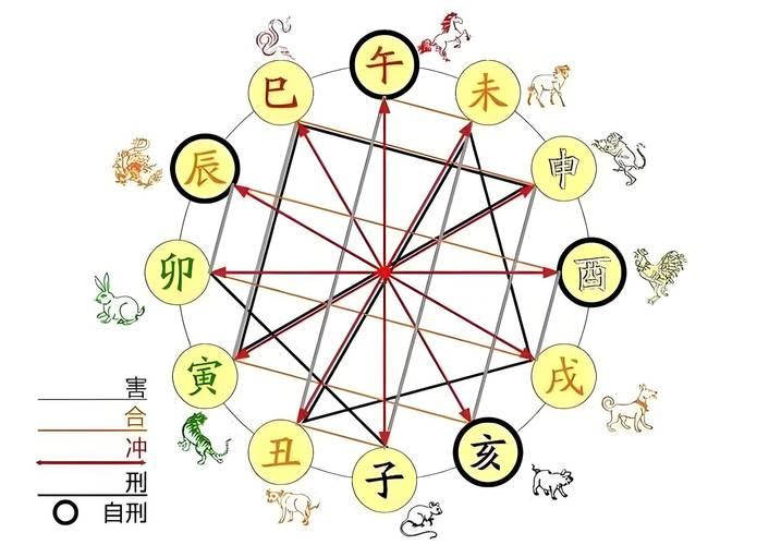 對(duì)沖生肖