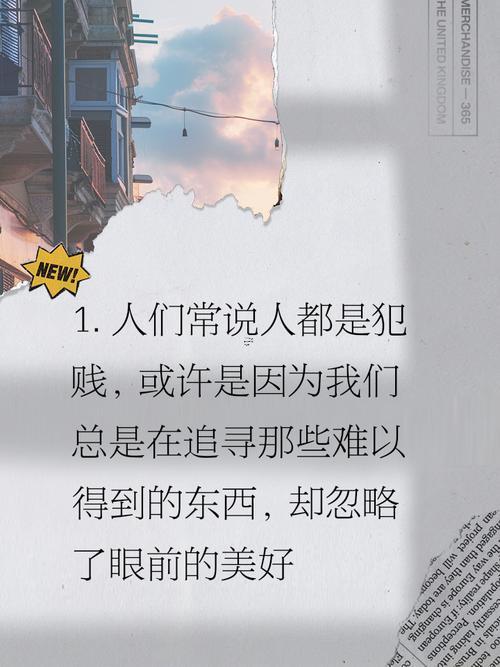 賤什么東西意思