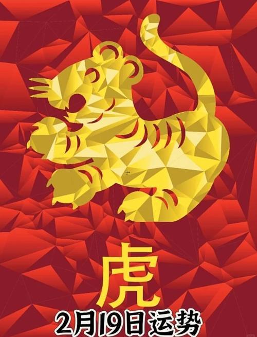 虎人今日打牌方向