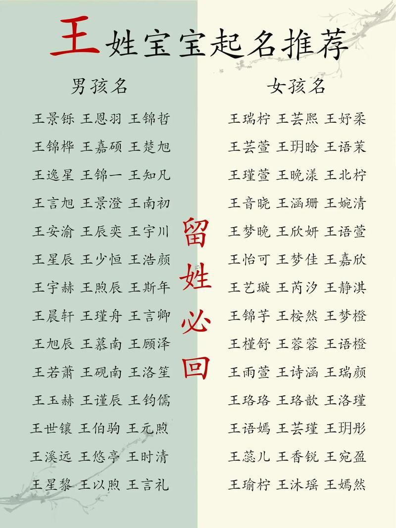 姓王的男孩名字2024