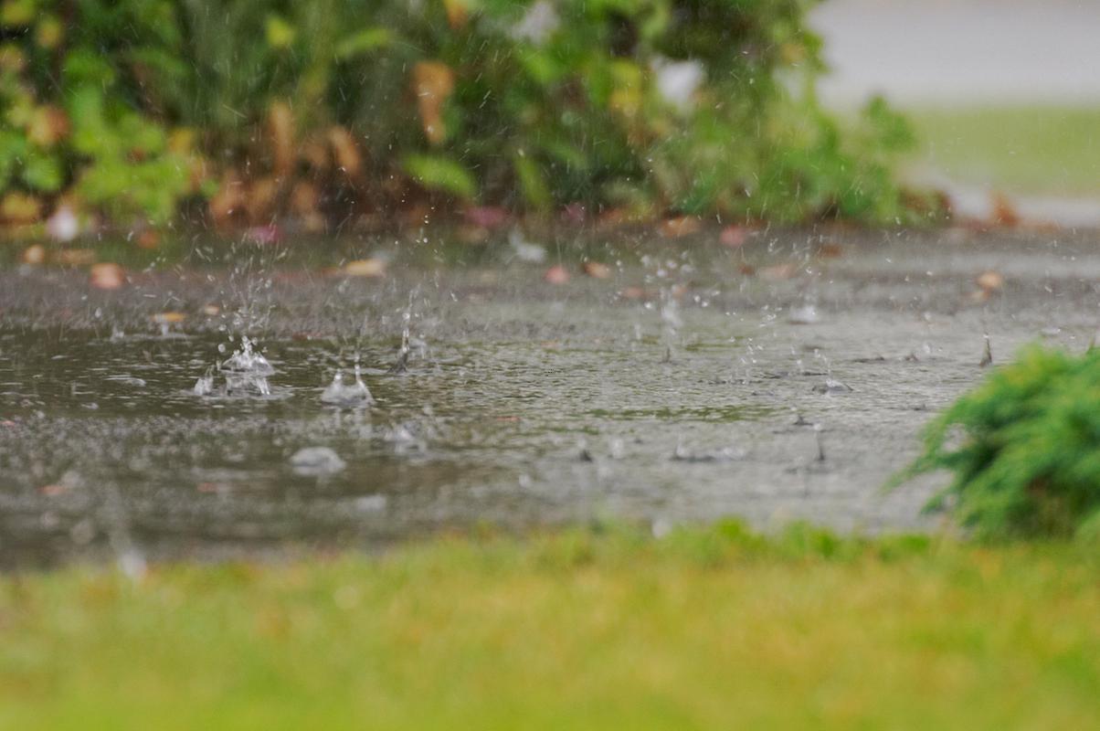 夢(mèng)到下大雨