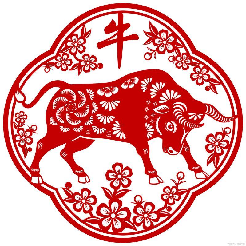 50年屬什么東西