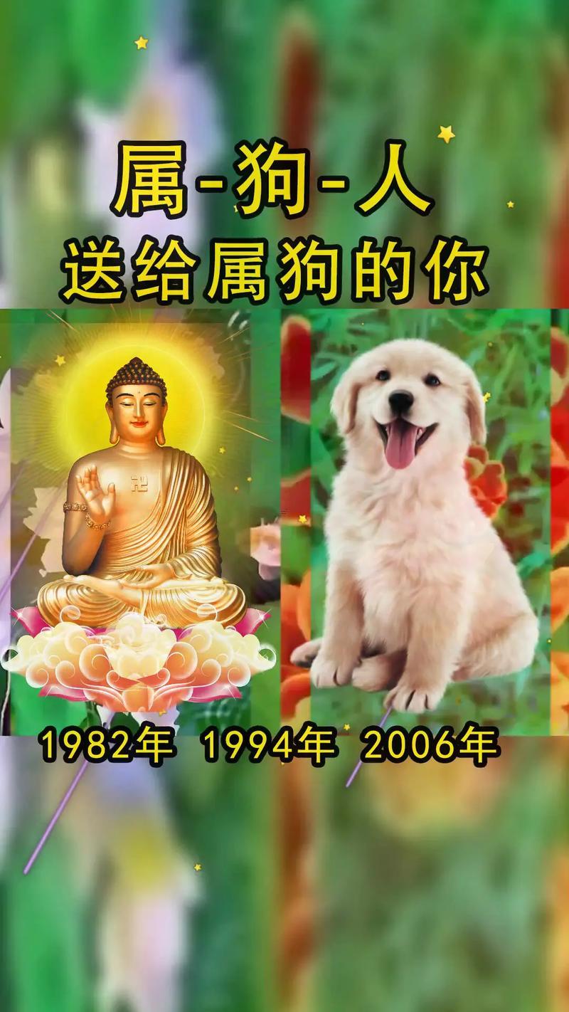屬狗哪一年有福氣