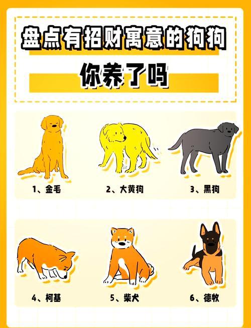 狗名字大全