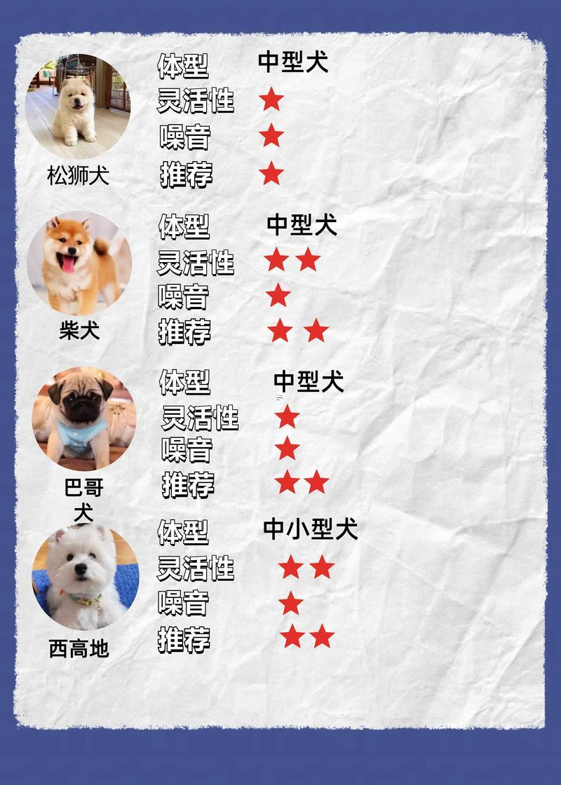 各種寵物狗的名字