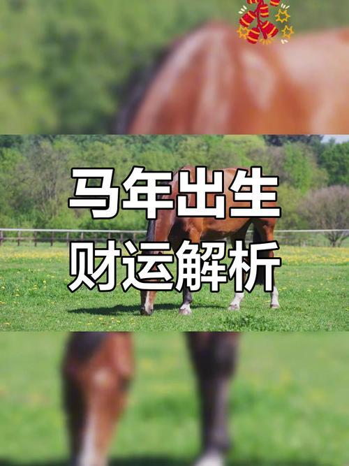 馬盤月摩羯愛對方