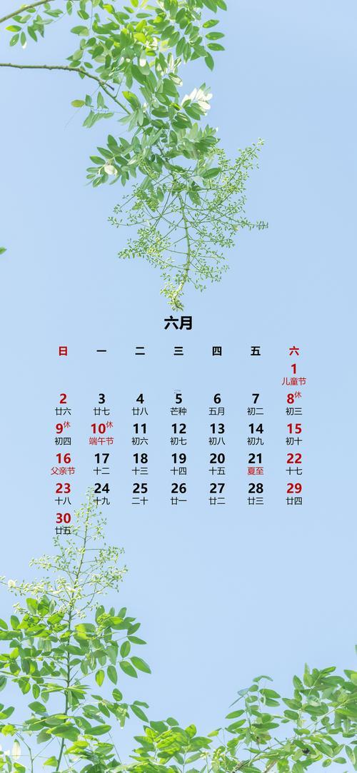 26年六月吉日