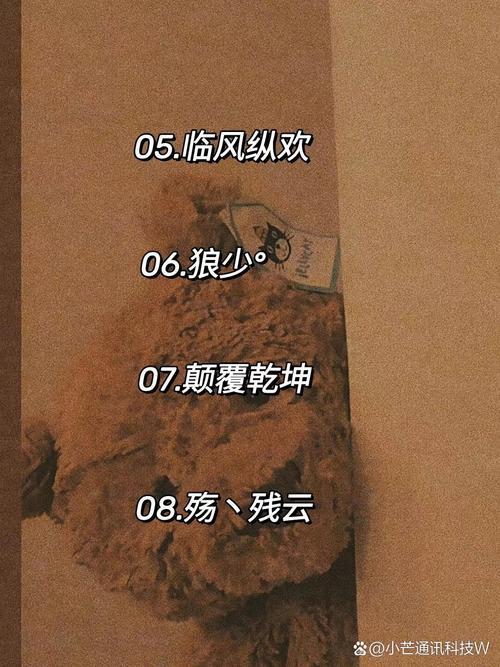 小男孩的名字