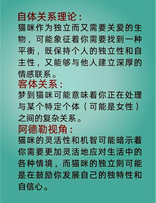 夢(mèng)見(jiàn)貓周公解夢(mèng)