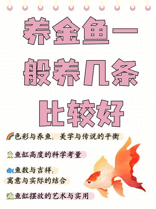 養(yǎng)啥魚(yú)招財(cái)最好