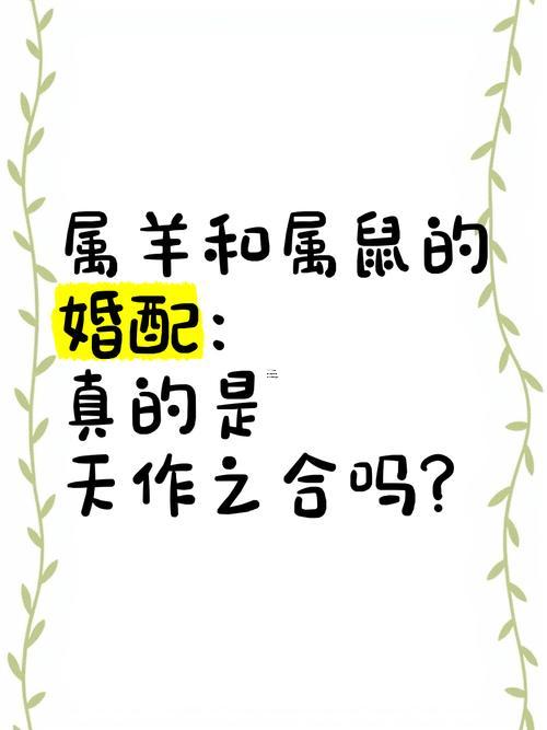 女羊男鼠屬相婚配好嗎