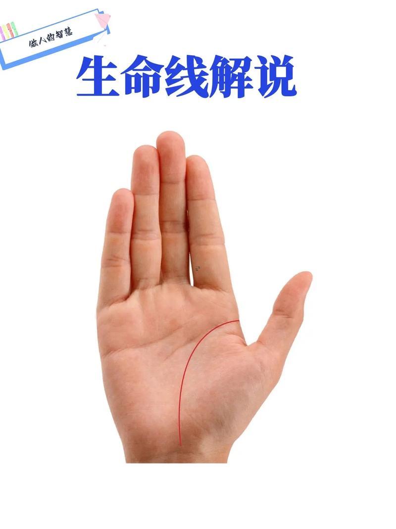 怎么看手相得生命線