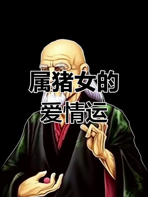 屬豬的戀愛(ài)熱情