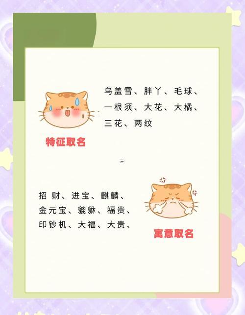 寵物貓取啥名字招財(cái)