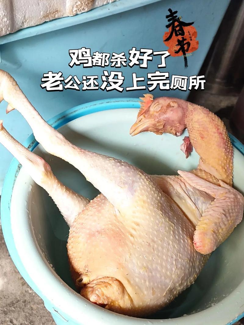 夢(mèng)到殺雞