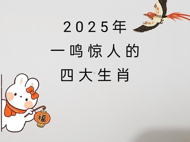 2025年屬啥