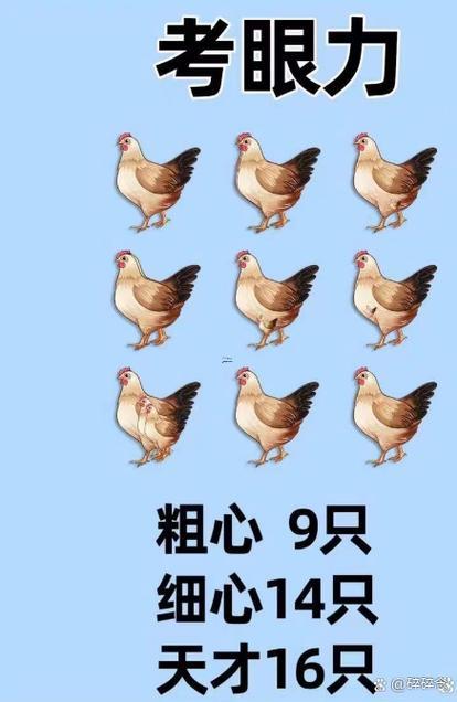 雞代表什么數(shù)字