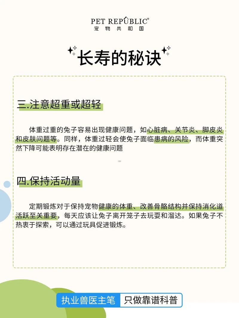 兔年出生年份