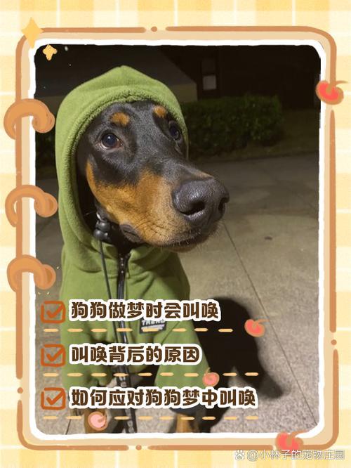 夢見狗何事東西意思