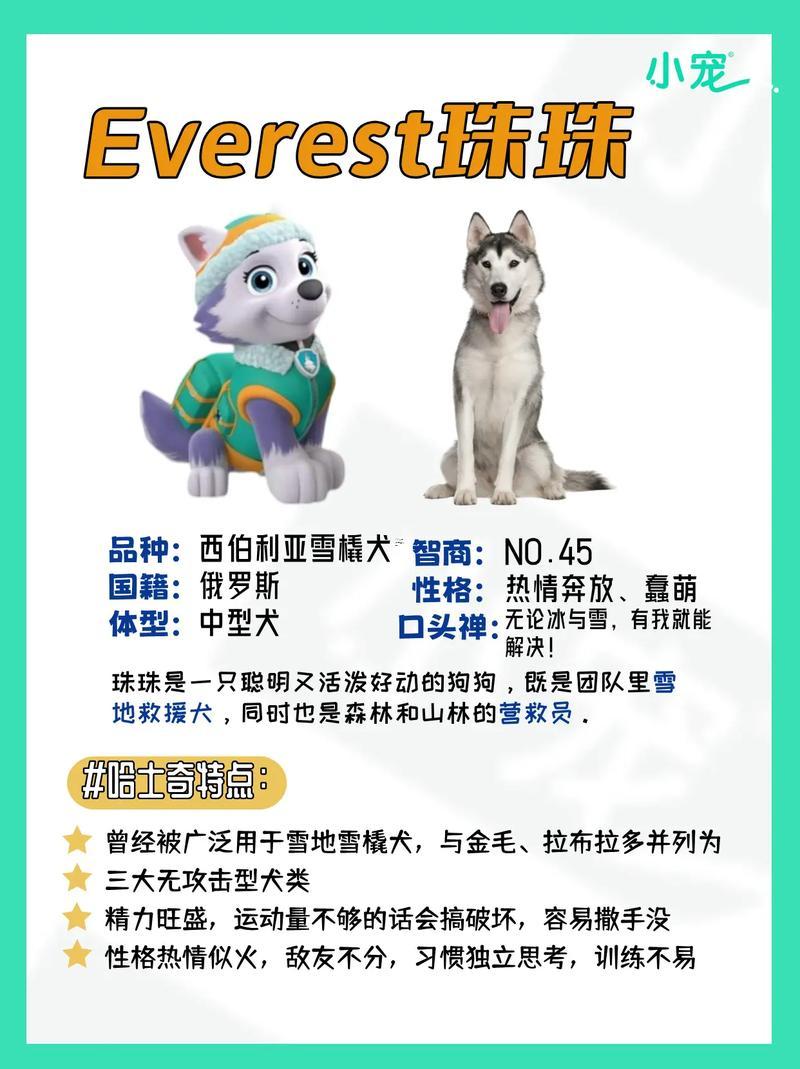 狗狗名字大全洋氣