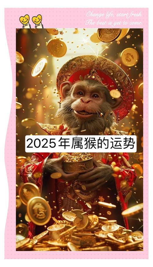 屬猴的2025全年運(yùn)