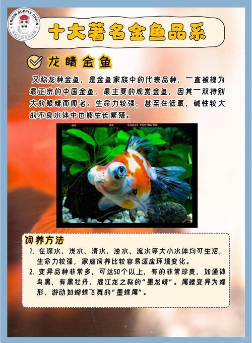 紅樓夢姻緣說