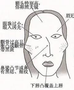 女人顴骨高
