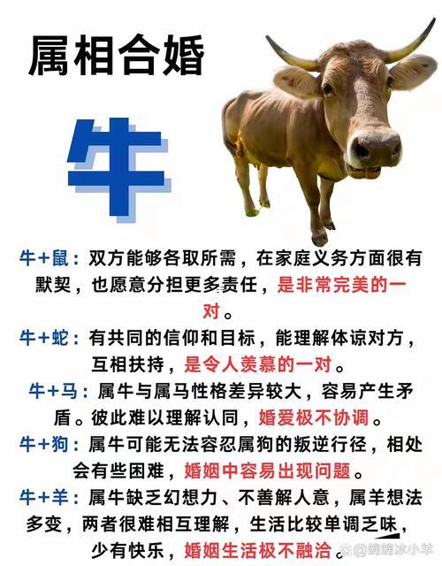 牛還有牛相配婚姻怎樣
