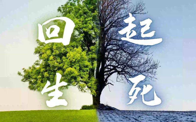 起死回生意思