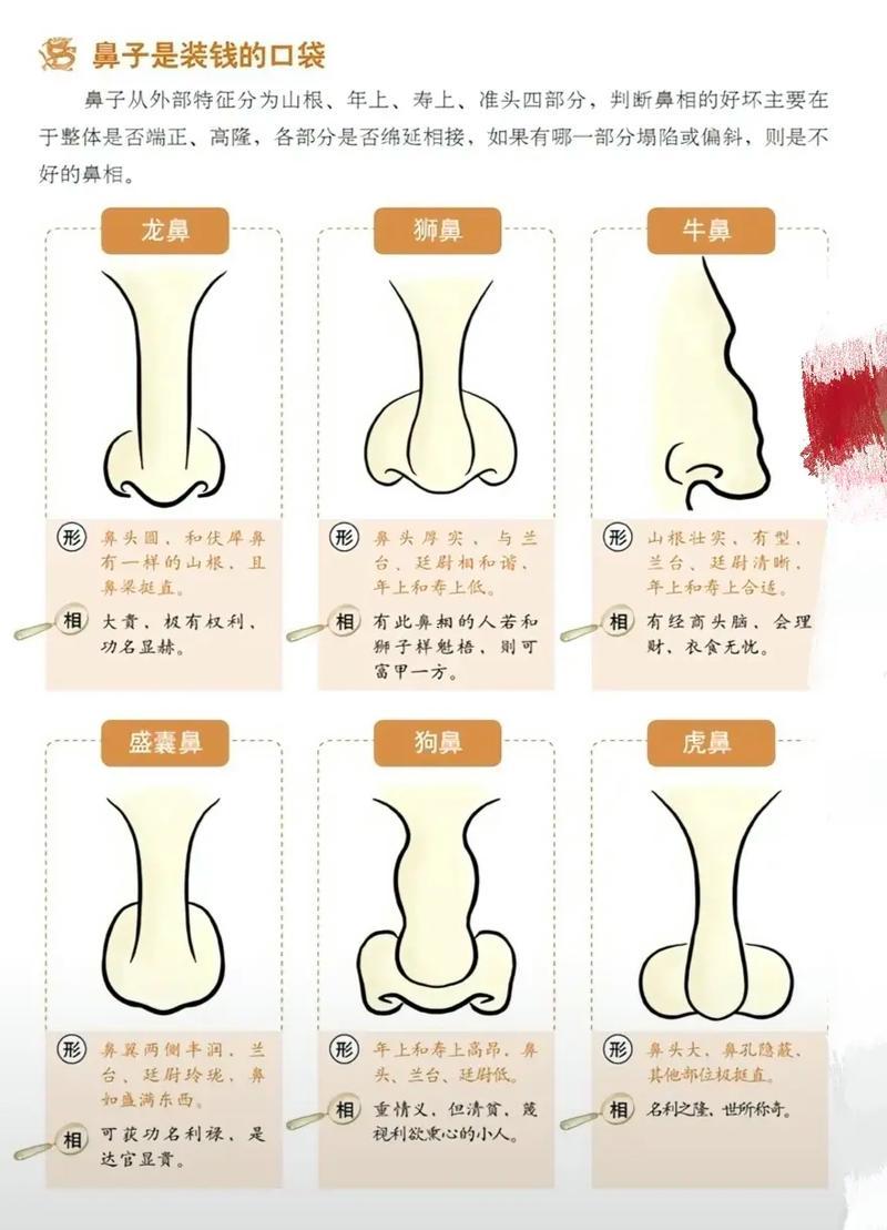 鼻子旁邊有痣