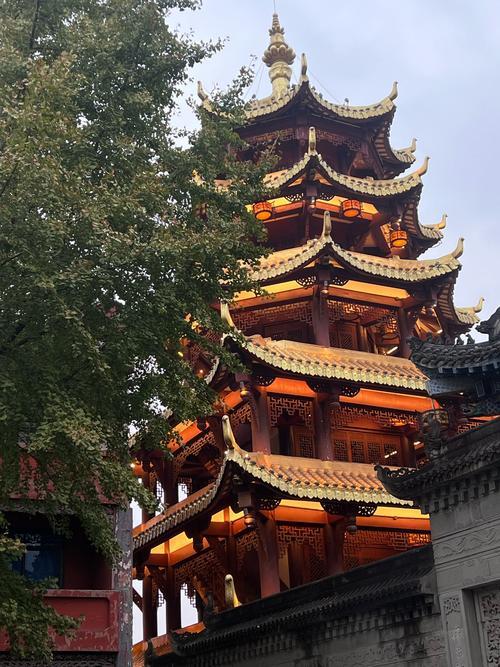 每日免費(fèi)抽簽