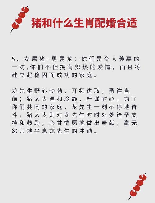 屬豬屬相婚配表
