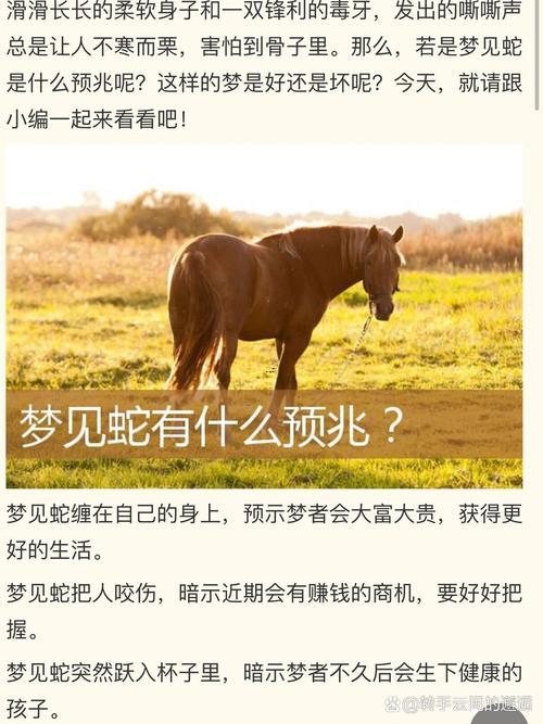 夢見毒蛇