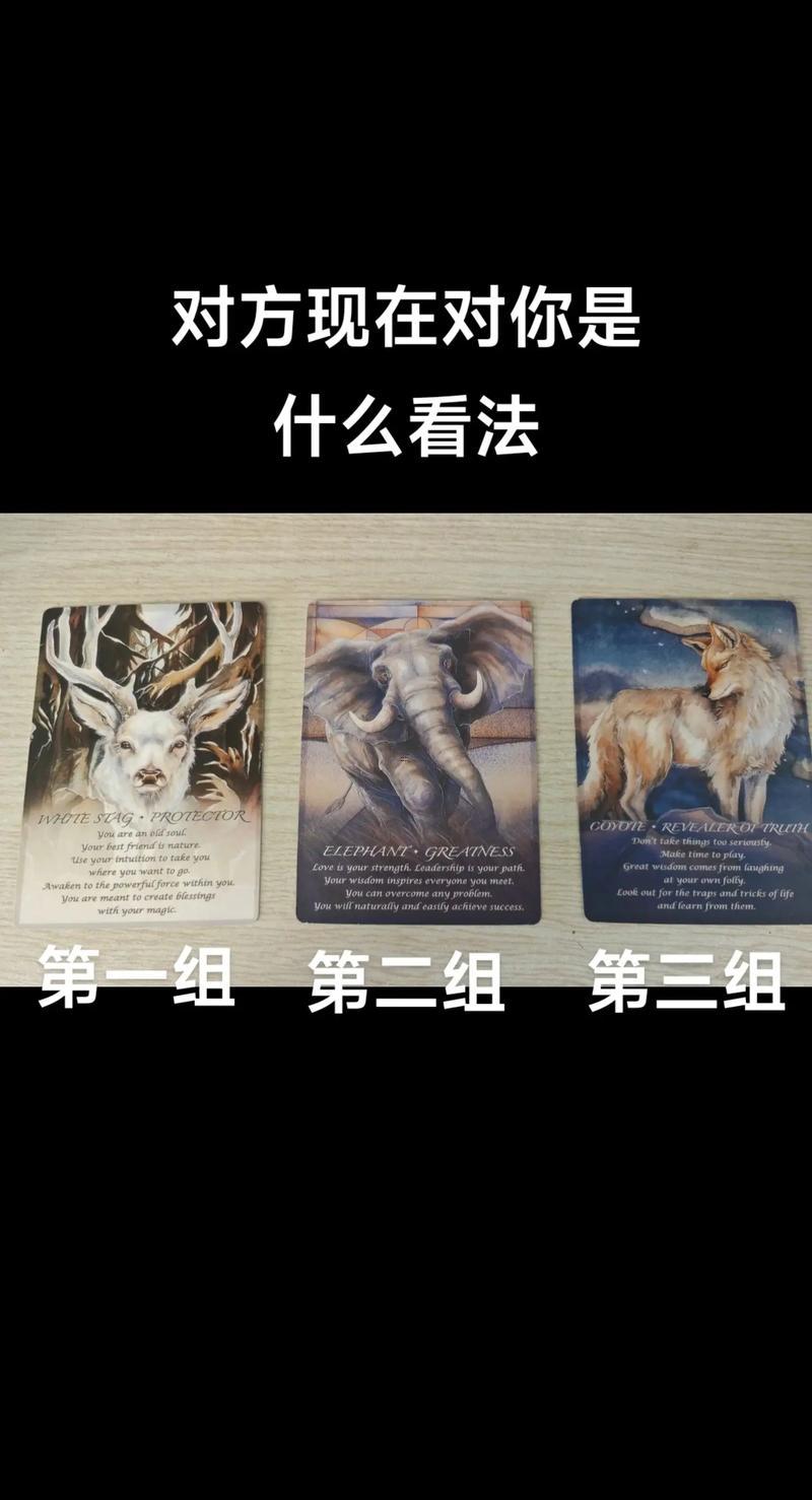塔羅測試對方對我的看法