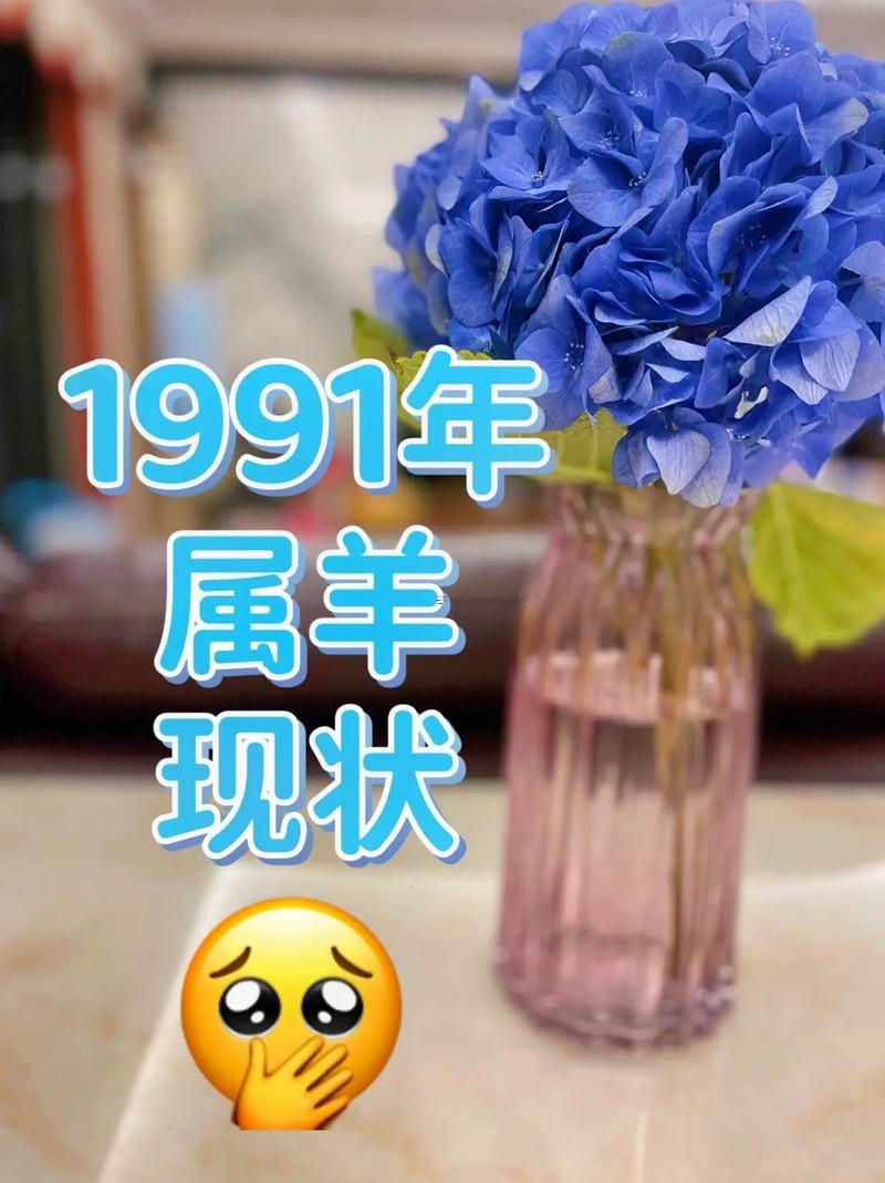 屬羊的幸運(yùn)數(shù)字