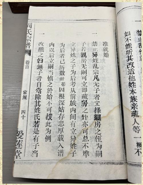 周家族譜