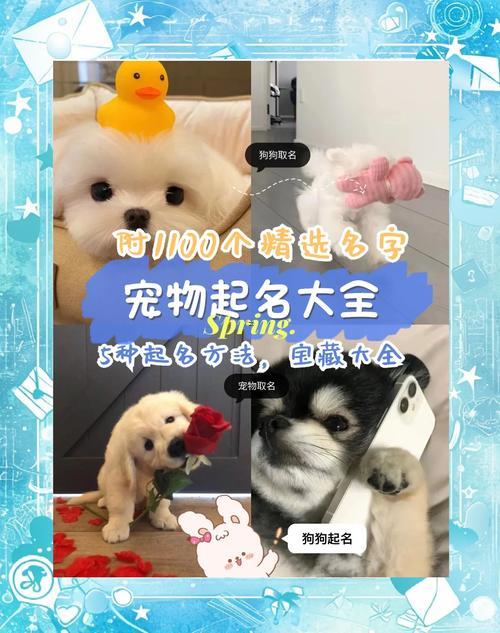 寵物昵稱