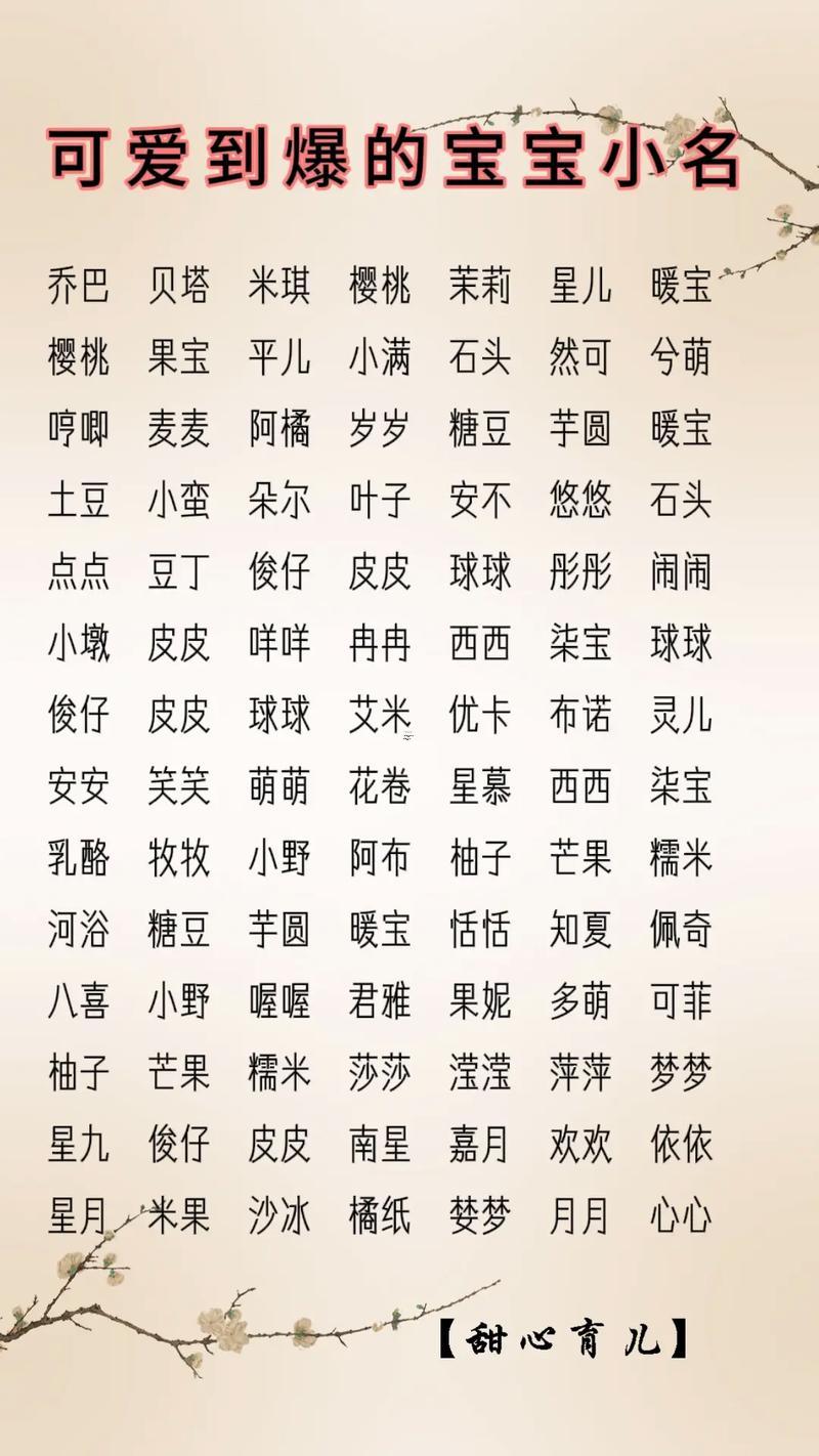 2017雞年男寶寶名字大全